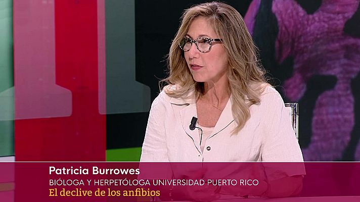 Objetivo Planeta - El declive de los anfibios