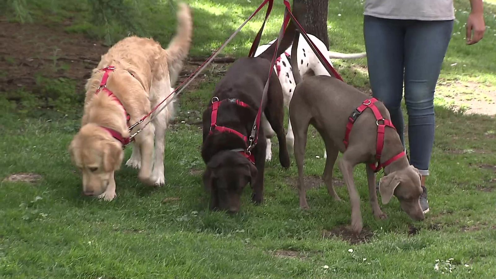 Aquí hay trabajo - 13/10/23 - ver ahora