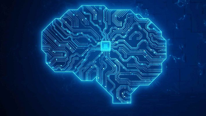 El atlas del cerebro: identifican y clasifican miles de celulas distintas