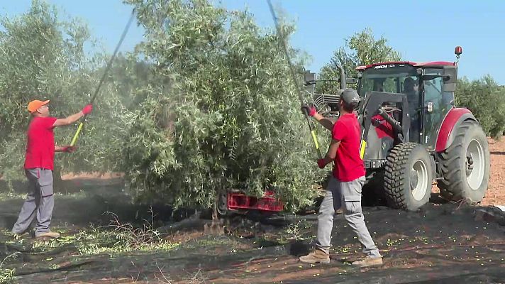 Agrosfera - Agrosfera - 14/10/23