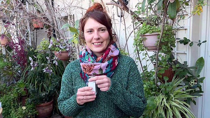 Va de verd - Desodorant de peus amb sàlvia