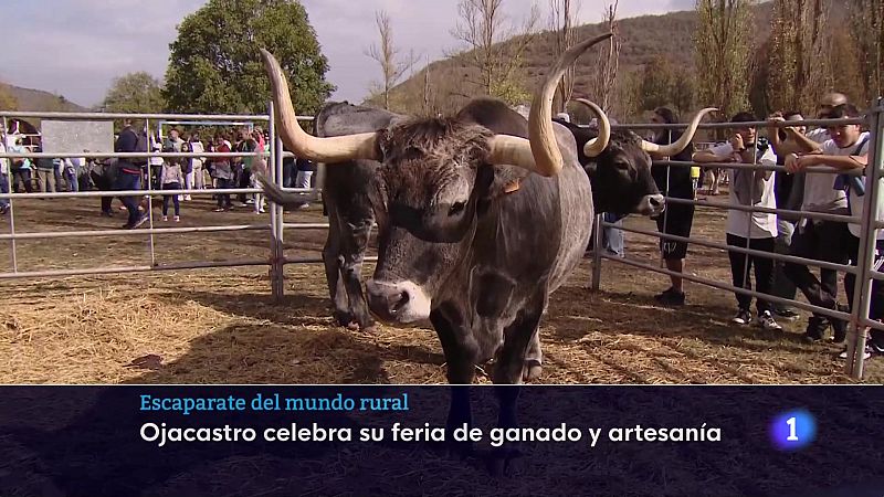 Telerioja en 2' - 16/10/23 - Ver ahora