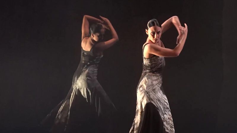 Cinco bailarinas de carne y hueso han decidido llevar al escenario los momentos claves de sus vidas, desnudarse emocionalmente a través de su lenguaje: la danza española.