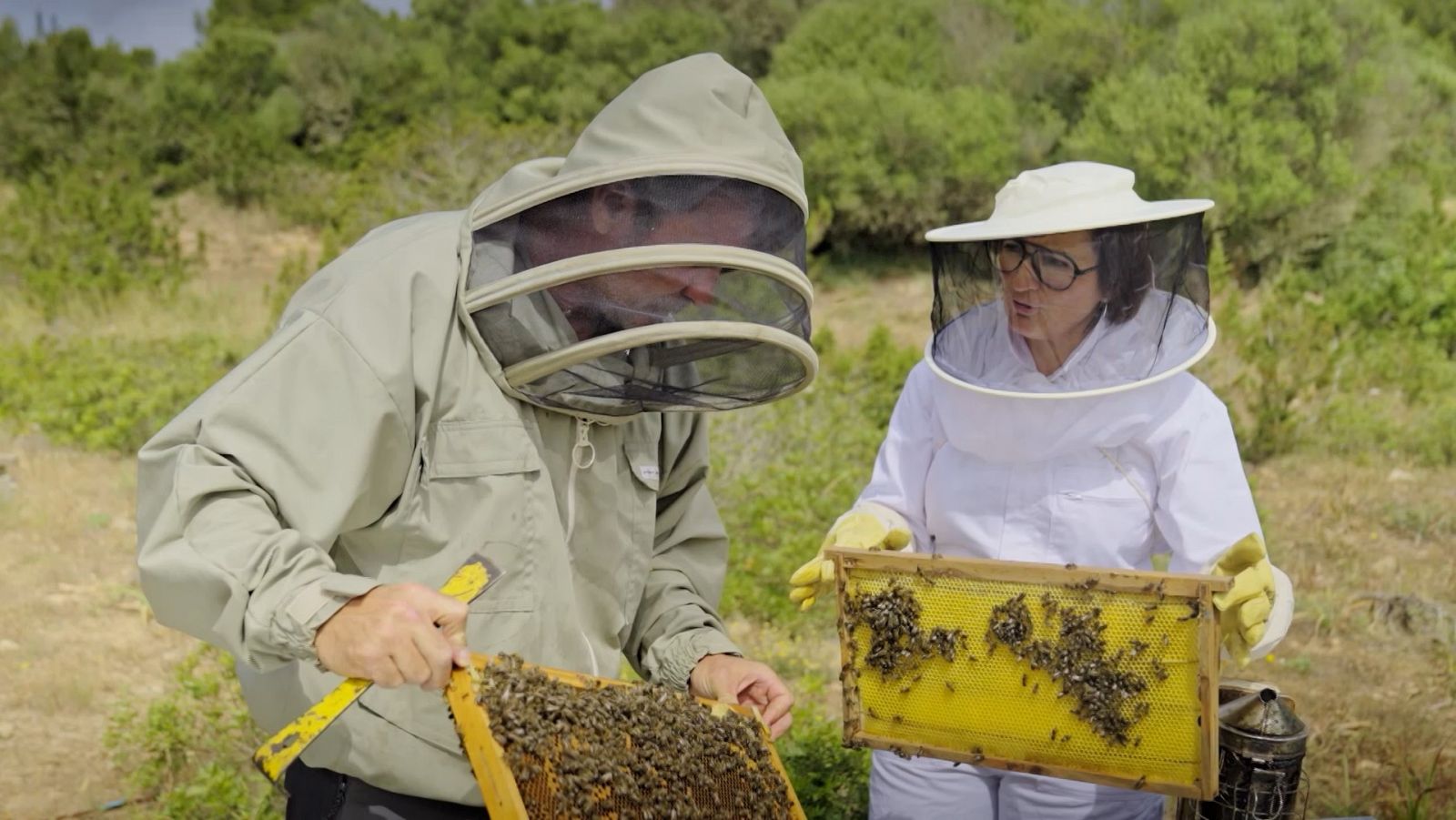 La valorada mel de Menorca | La Recepta Perduda