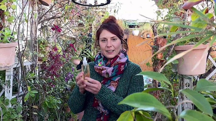 Va de verd - Tònic capilar amb ingredients naturals