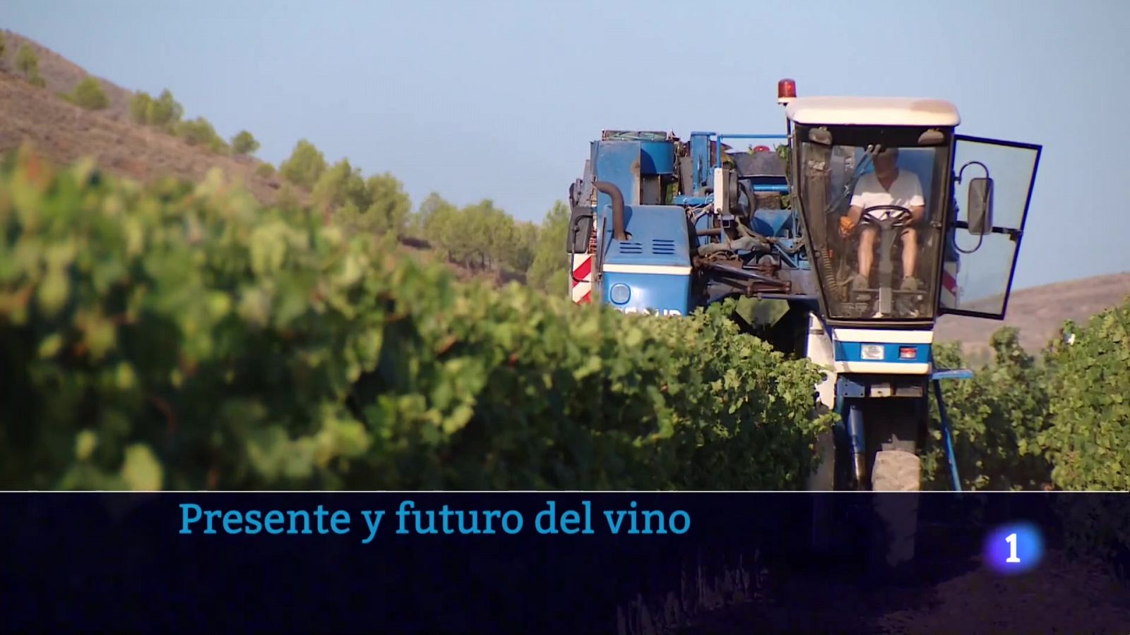 Informativo Telerioja - 20-10-2023 - ver ahora