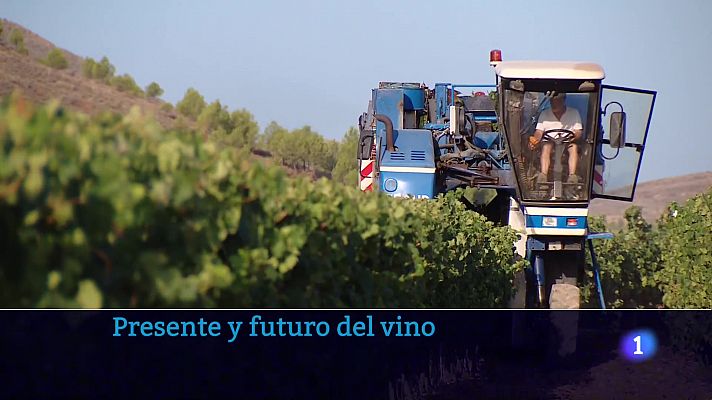 Informativo Telerioja - Informativo Telerioja - 20-10-2023