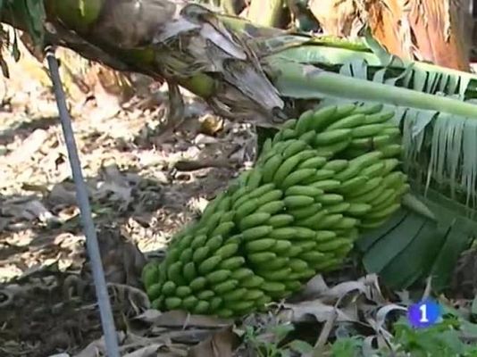 Telecanarias - Telecanarias - 19/02/10