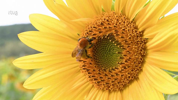 Ahora o nunca - Programa 192