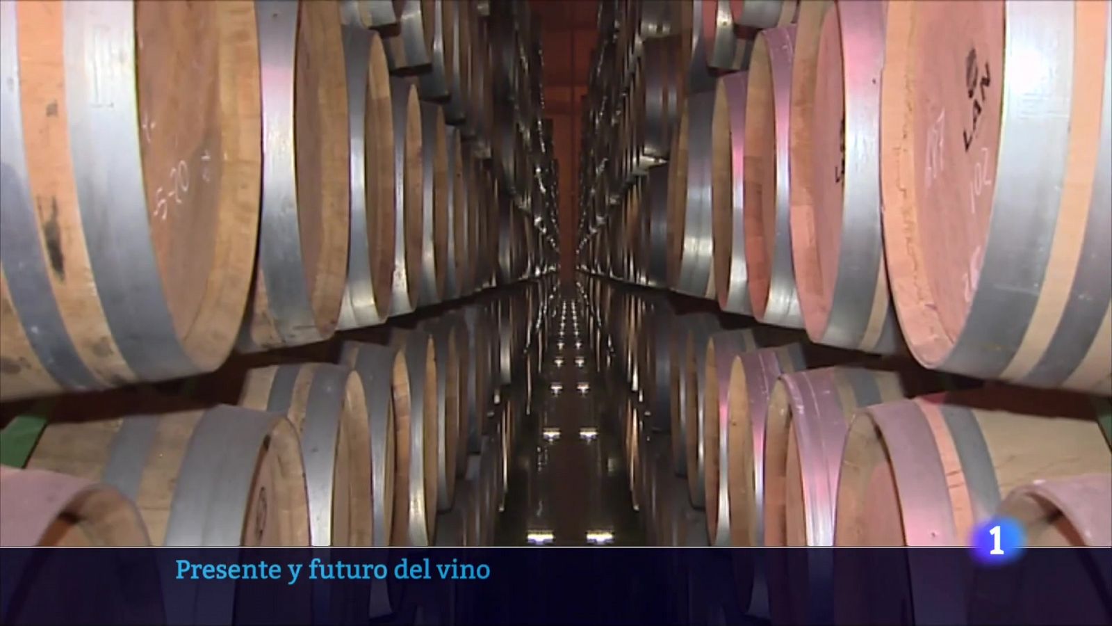 Informativo Telerioja  - 20/10/23 - Ver ahora