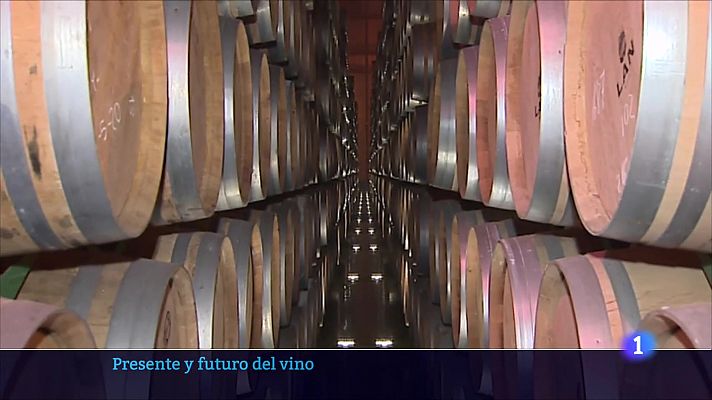 Informativo Telerioja - Informativo Telerioja  - 20/10/23