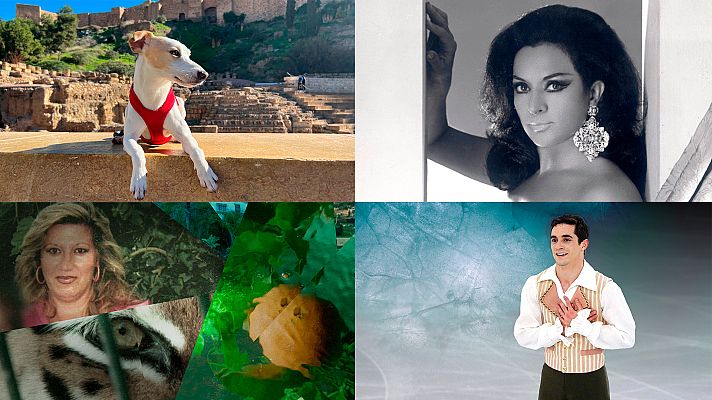 Somos Documentales - RTVE Docs, el nuevo canal de temático de Play