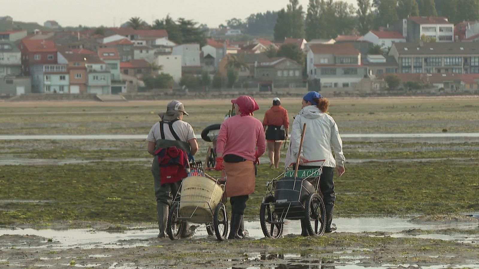 Objetivo igualdad - Programa 109: Mujeres en la pesca