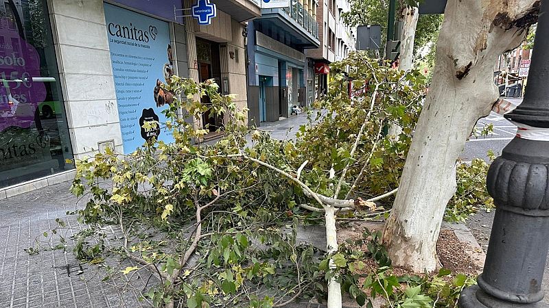 El temporal de viento y lluvia deja un fallecido en Crdoba por el impacto de una placa metlica | Ver