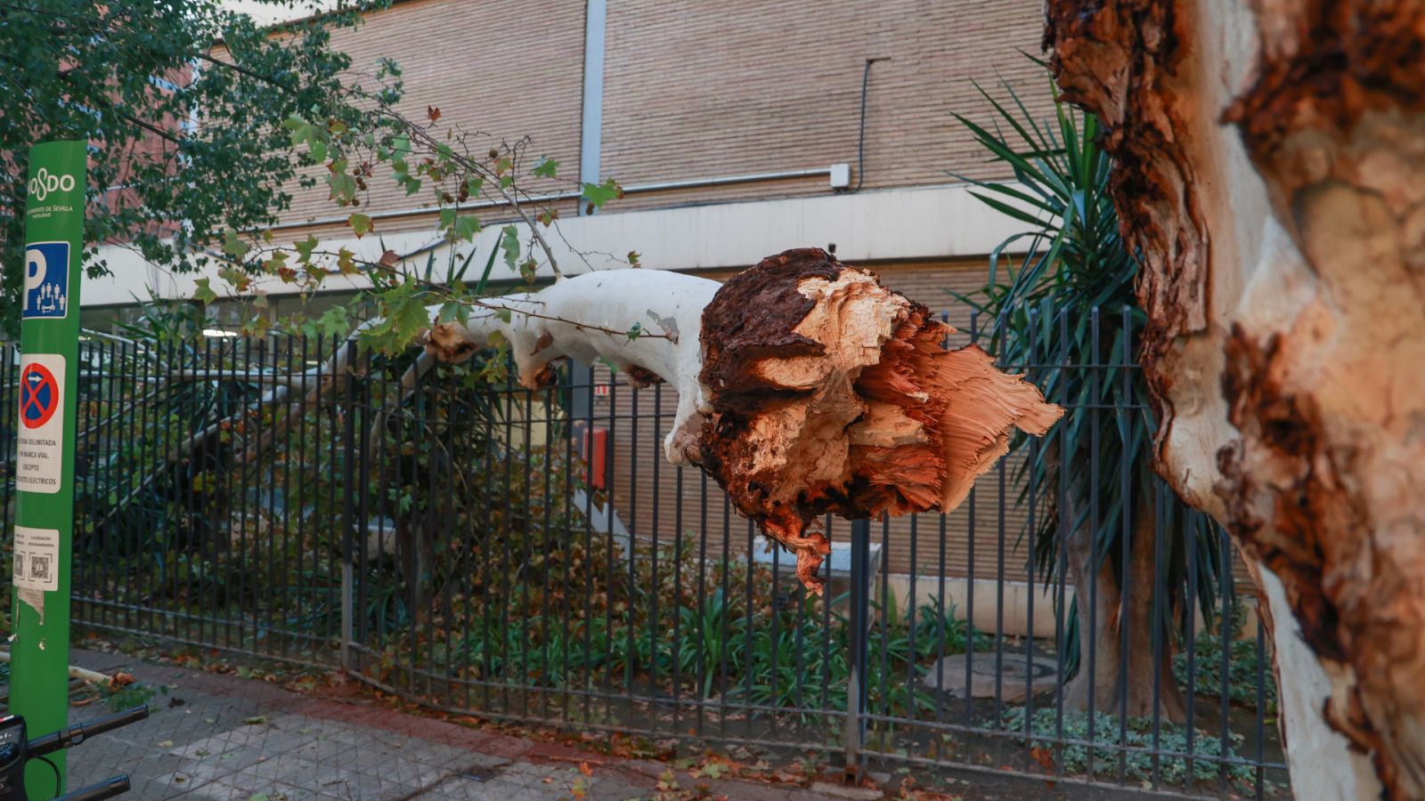 Telediario - 21 horas - 23/10/23 - Lengua de signos - ver ahora