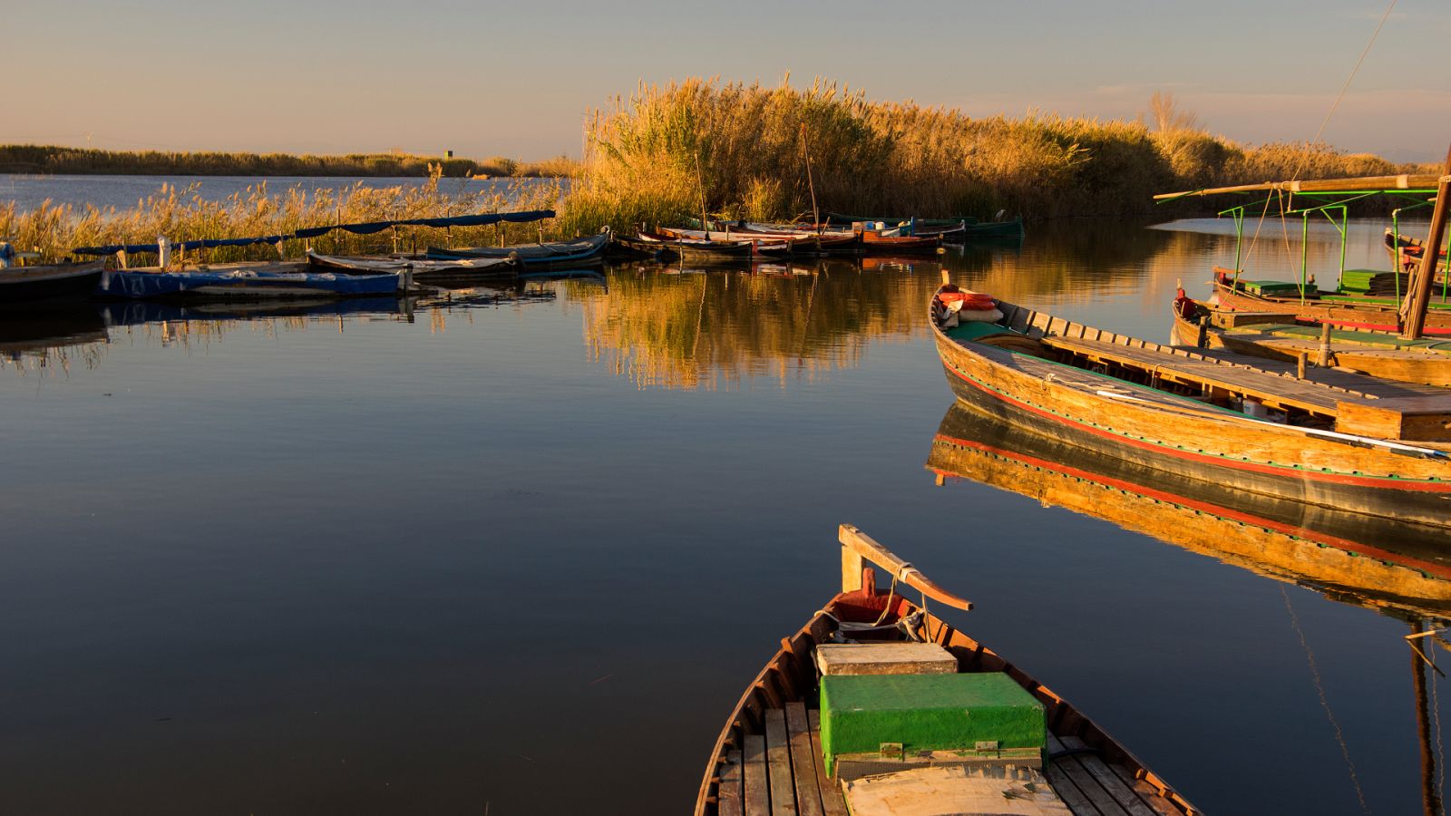 Las aguas de la Albufera de Valencia cambian de color