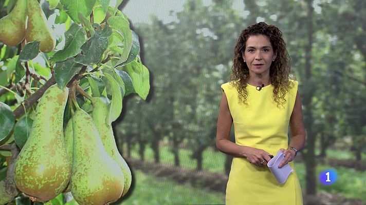 Informativo Telerioja - Informativo Telerioja 2 - 25/10/2023