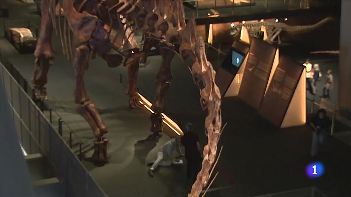 'Dinosaures de la Patagònia' al Cosmocaixa