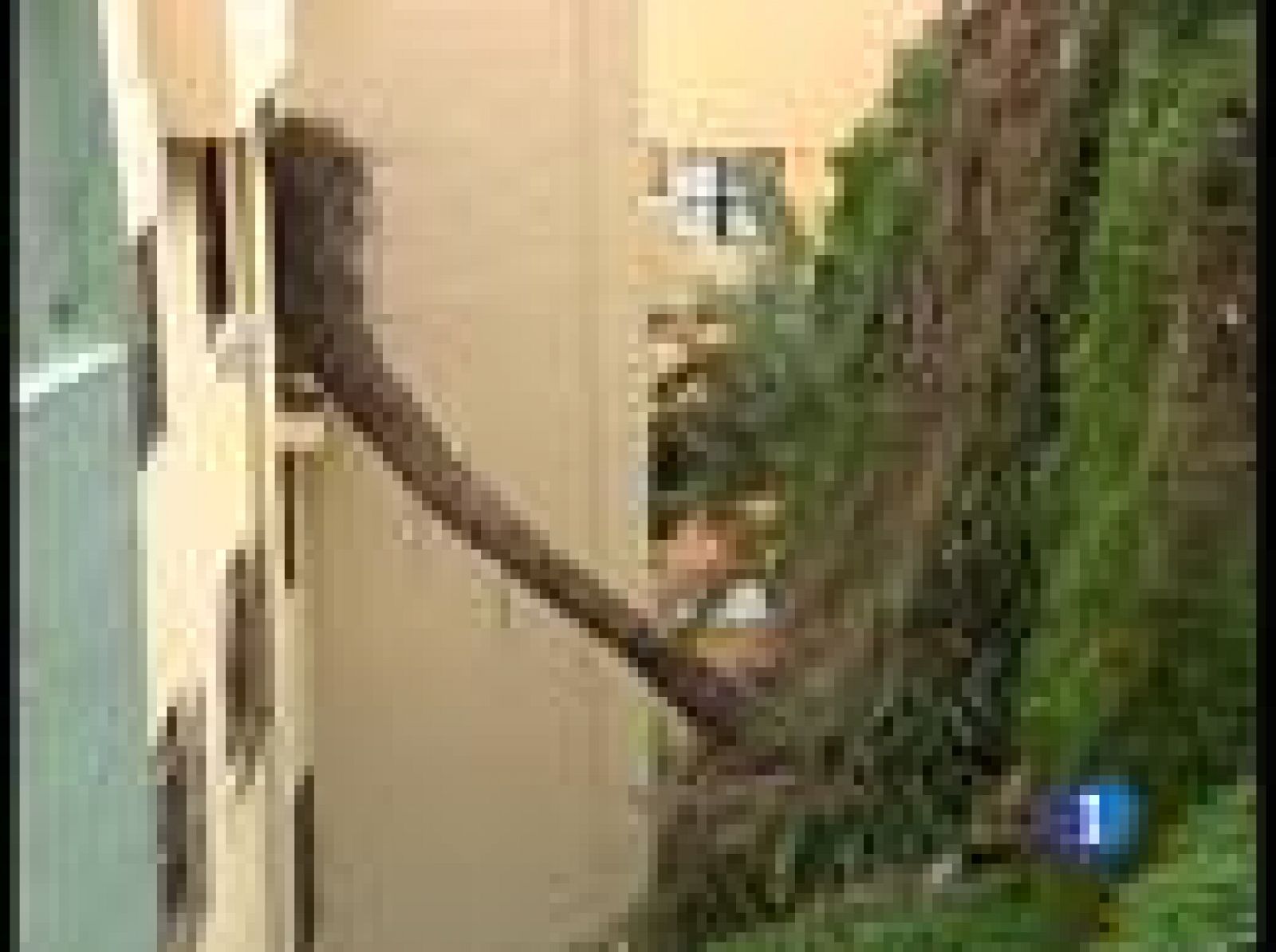 El viento azota a Canarias | Ver