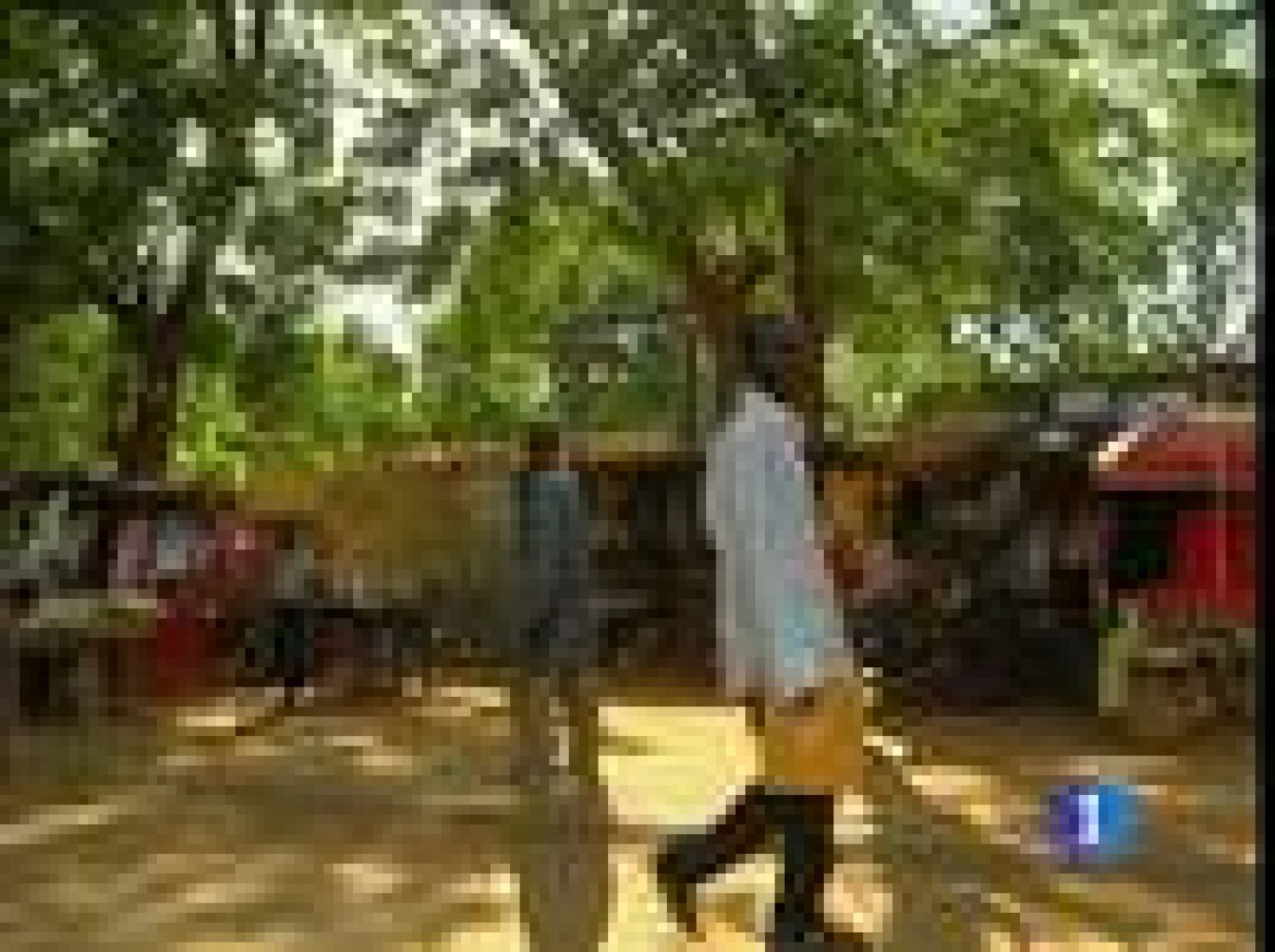 En Níger los militares mantienen detenidos al presidente y a sus ministros | Ver