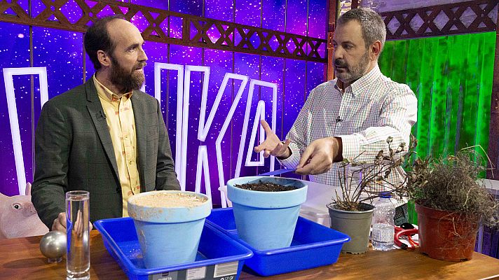 Órbita Laika - La granja de Edu