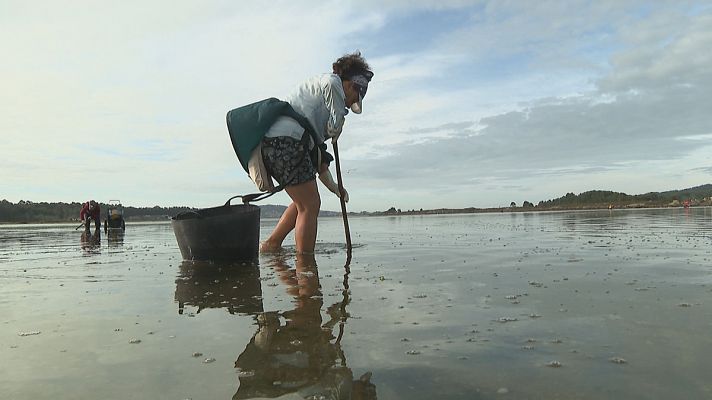Objetivo igualdad - Mujeres: un 63% de la fuerza laboral del marisqueo
