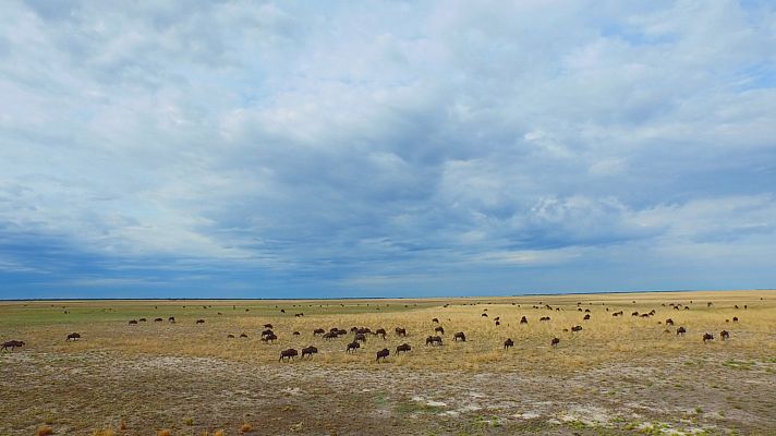 Zambia salvaje - Paraísos de África