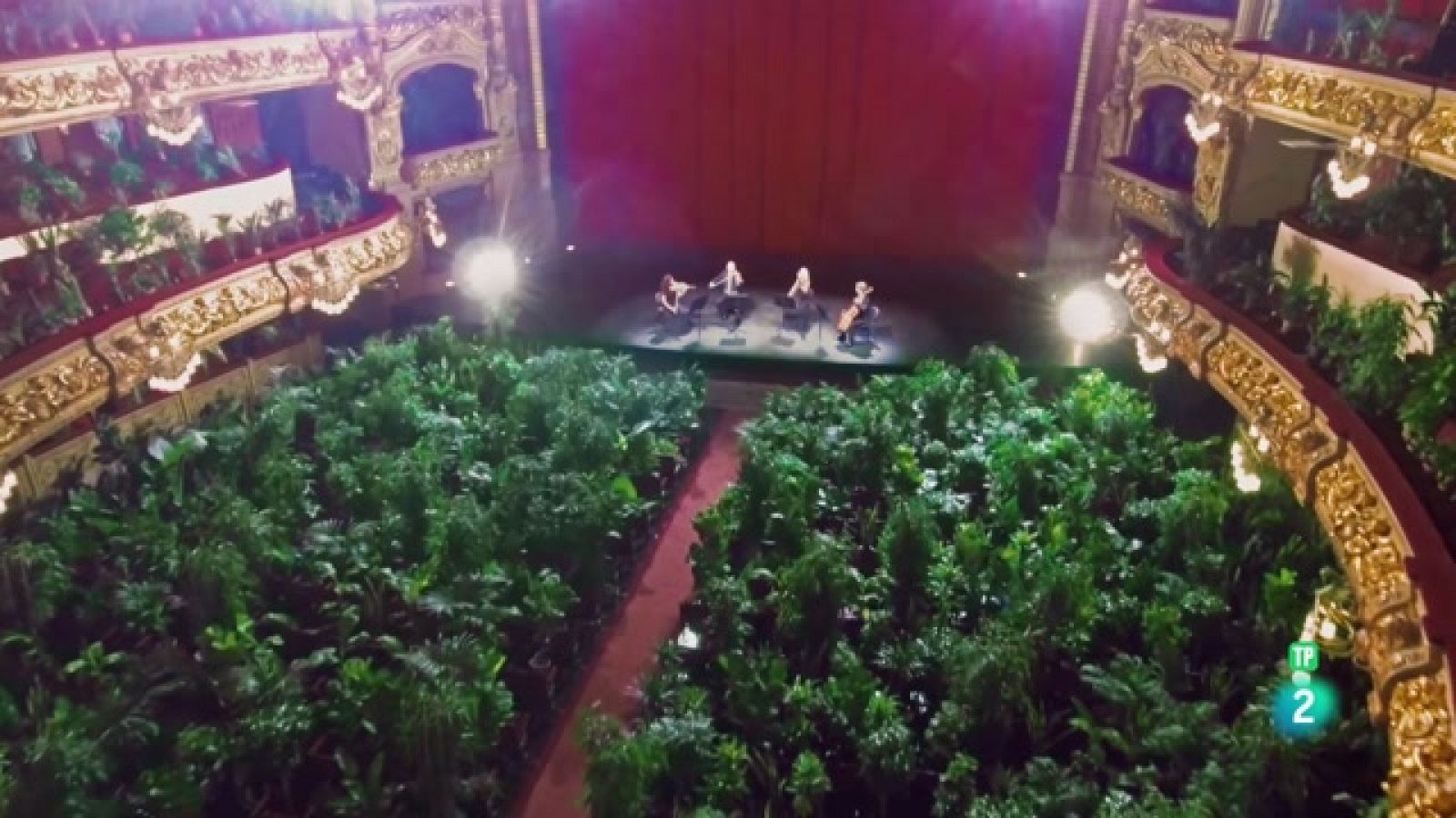 Eugenio Ampudia. Retrospectiva