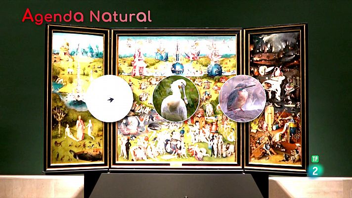 La aventura del Saber - Agenda natural