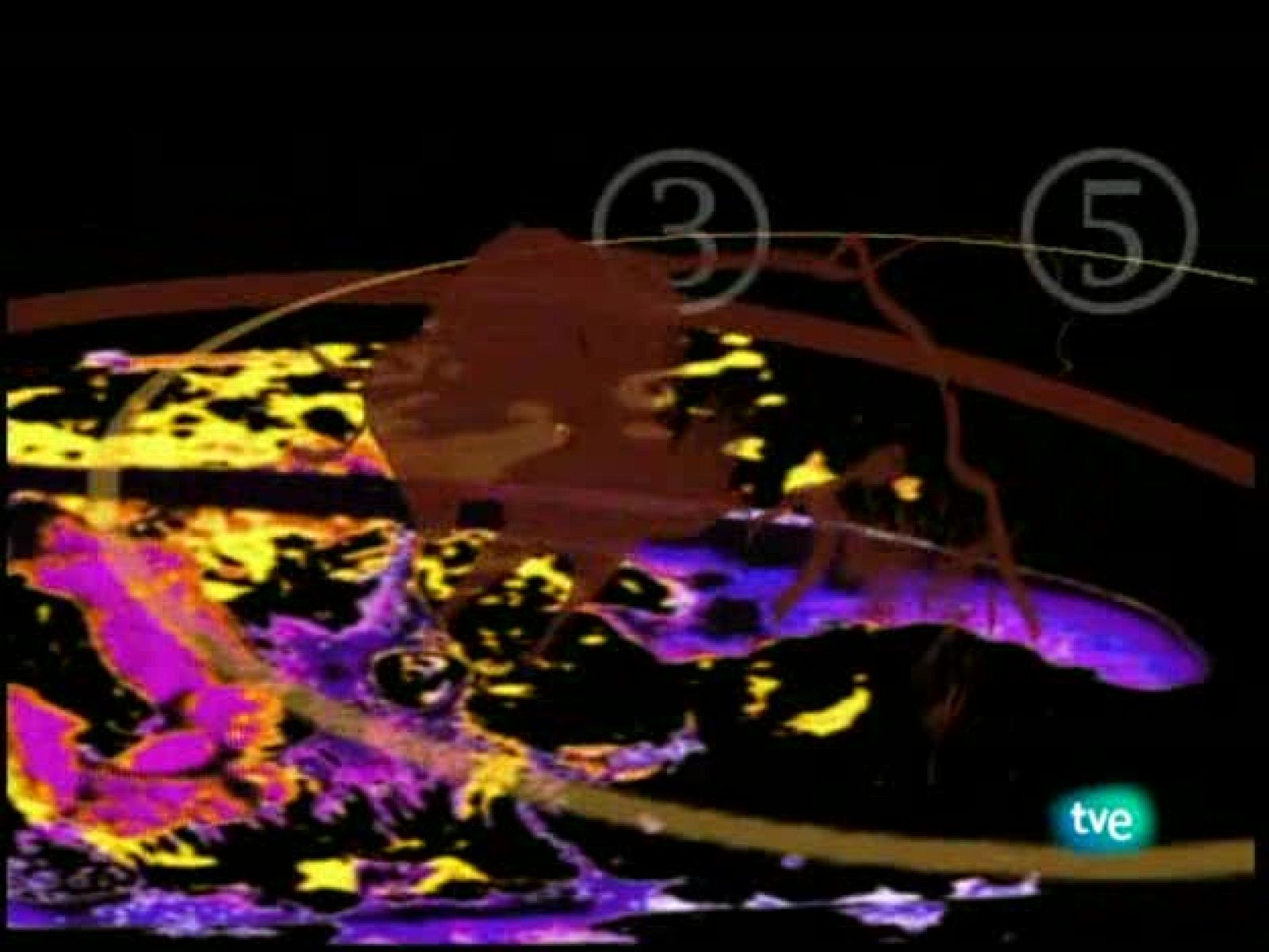 Tendido cero - 20/02/10 - Tendido cero | Ver
