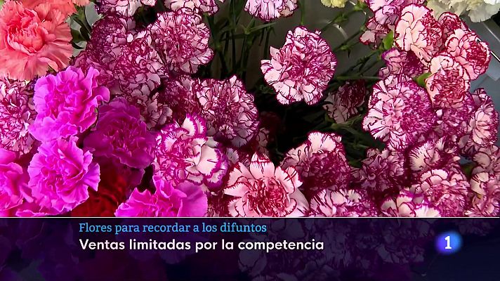 Informativo Telerioja - Informativo Telerioja  - 31/10/23