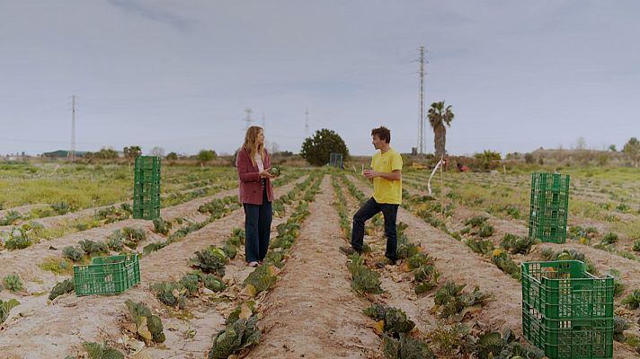 Una segona oportunitat a la fruita i verdura imperfecta