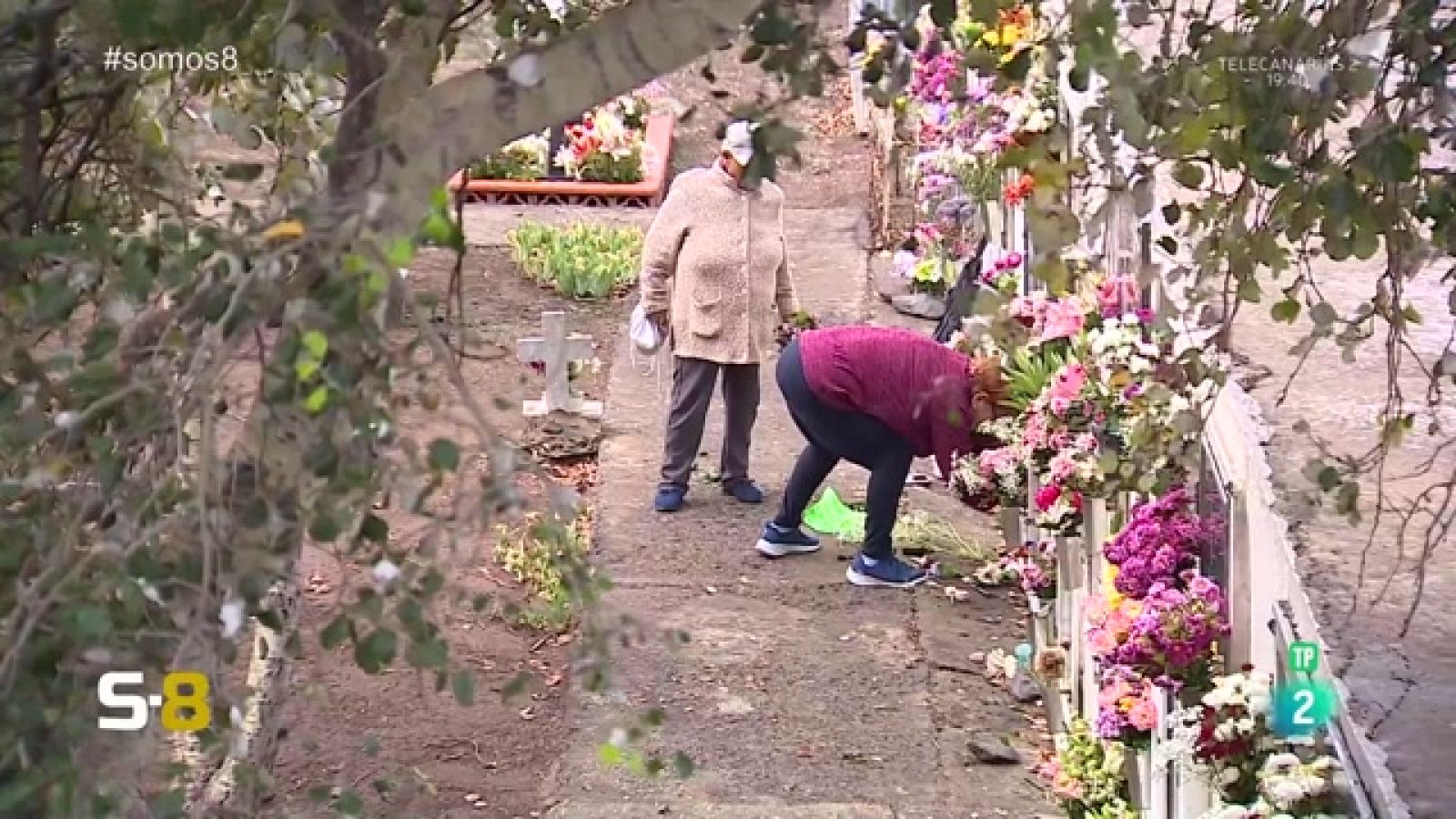 Somos 8 - 31/10/2023 | Magazine de la actualidad canaria - Somos 8 | Ver