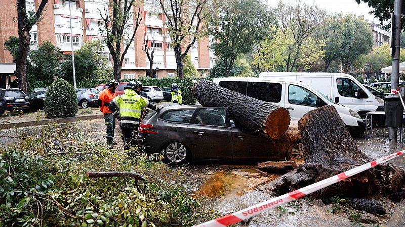 La borrasca Ciarán mantiene en alerta a casi toda España tras dejar incidencias de transporte y árboles caídos