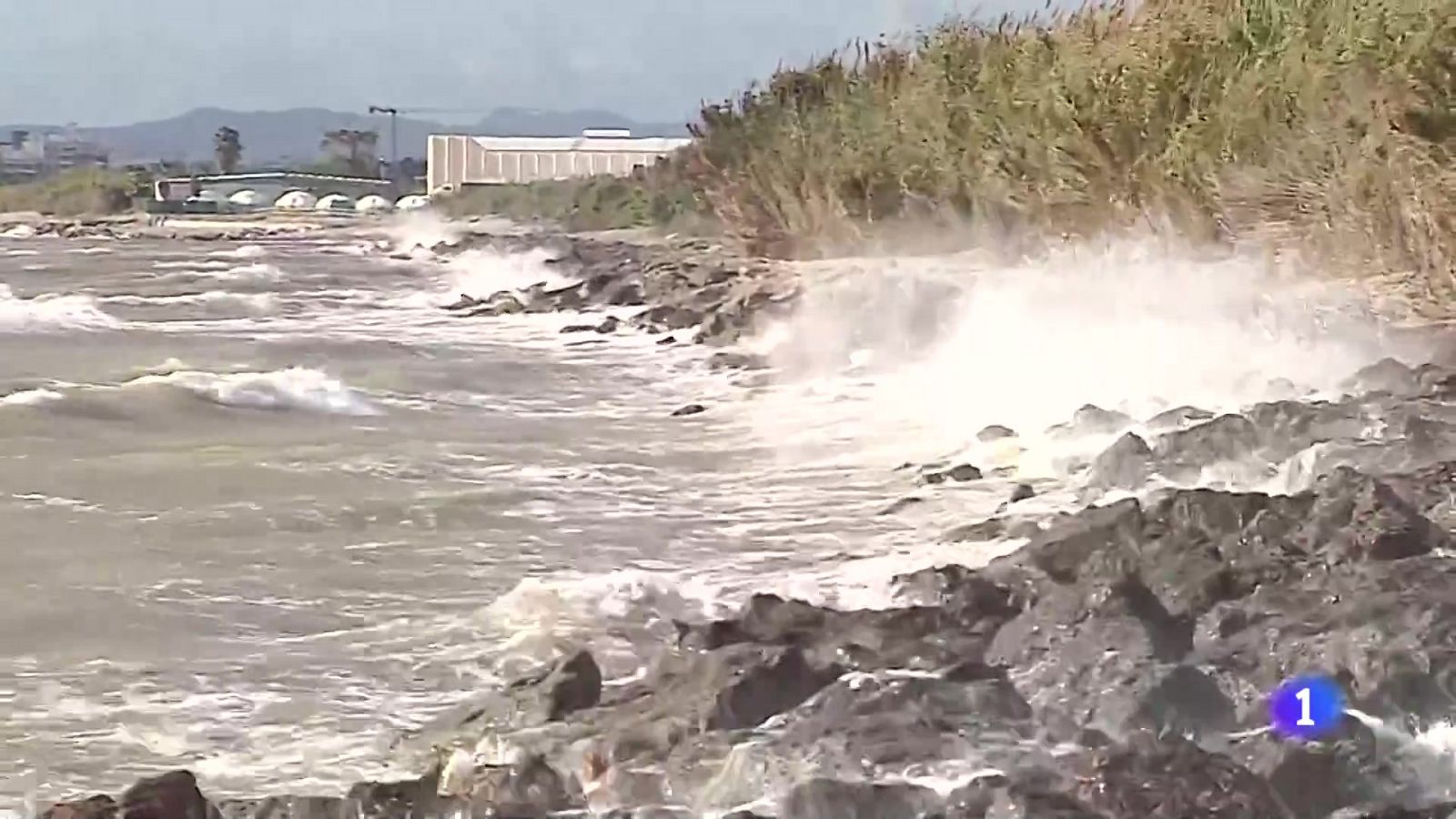 L'Informatiu Comunitat Valenciana 1 - 02/11/23 'ver ahora'