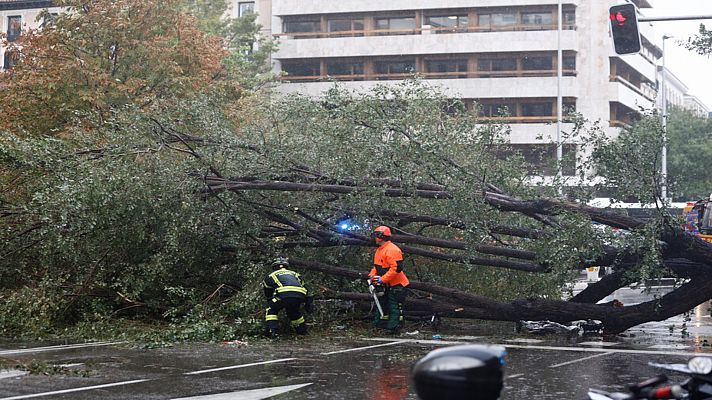 Telediario 1 - Telediario 1 en 4' - 01/11/23