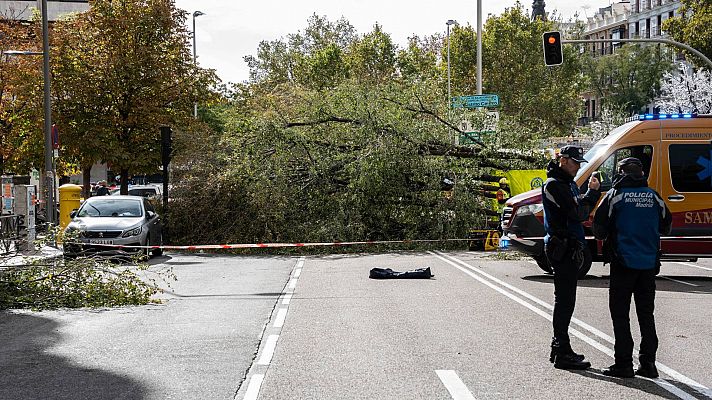 Telediario 1 - La borrasca Ciarán provoca importantes daños en muchos puntos de España