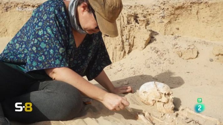 Somos 8 - Somos 8 - 03/11/2023