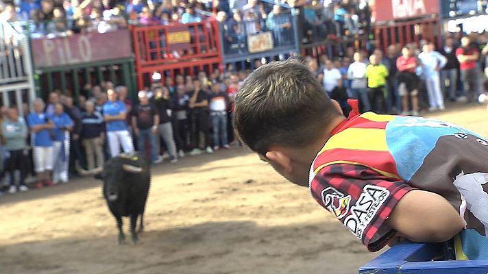 Tendido cero - Tendido cero - 04/11/23