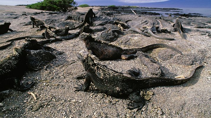 Del amanecer al crepúsculo - Un día cálido en el nuevo mundo