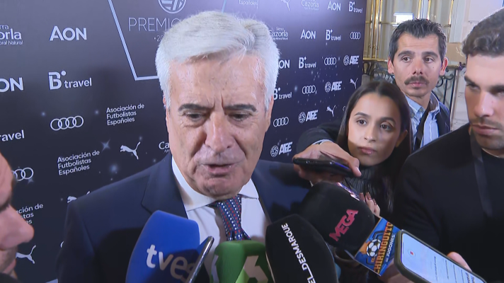 Fútbol - Pedro Rocha: "Tenemos que unirnos todos. El colectivo arbitral es muy profesional"