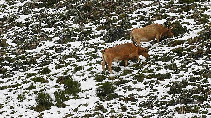 Bajada de temperaturas generalizada y lluvias y viento muy fuerte en el norte de España