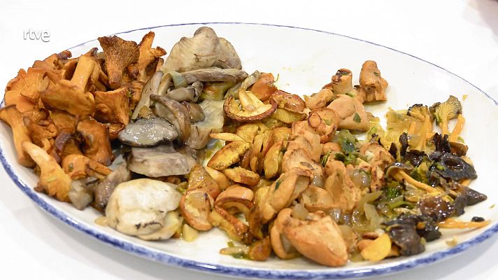 Ahora o nunca - Todo lo que debes saber de las setas de otoño