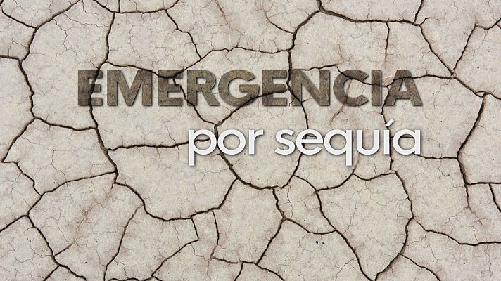 Noticias Andalucía - Córdoba en emergencia por sequía