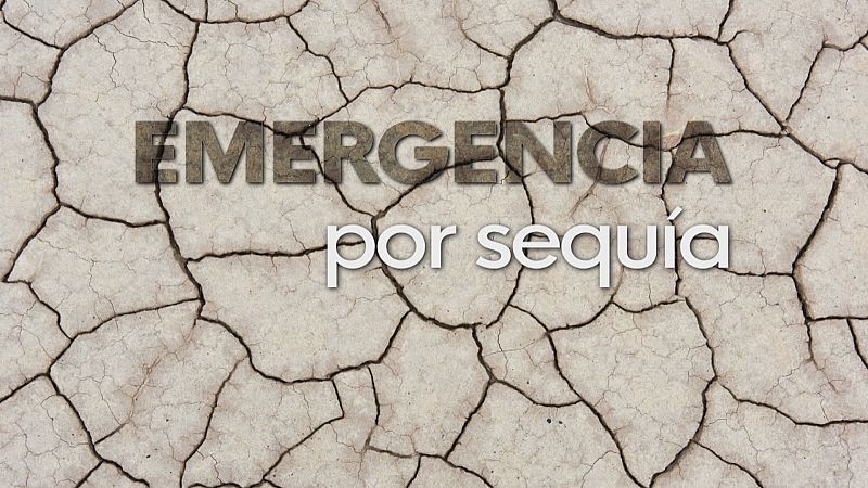 Córdoba en emergencia por sequía - Ver ahora