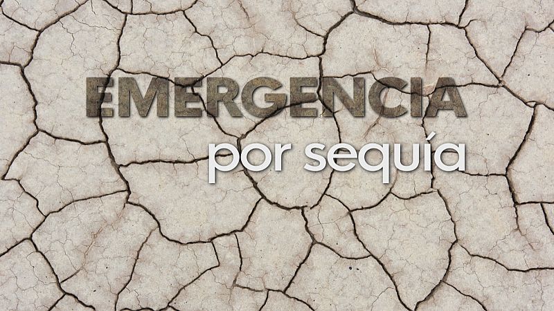 Crdoba en emergencia por sequa - Ver ahora