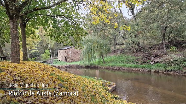 El tiempo - Cielos nubosos o cubiertos en el norte peninsular, con precipitaciones afectando a Galicia, Cantábrico y noroeste de Castilla y León