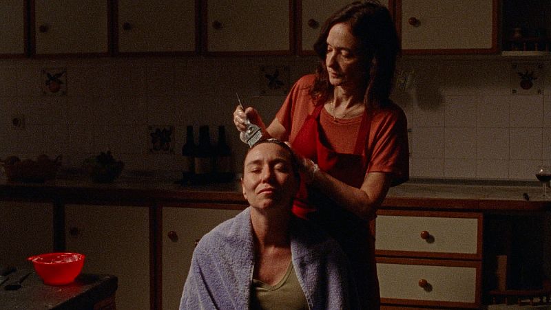 Así es el tráiler de 'Sobre todo de noche' | Ver