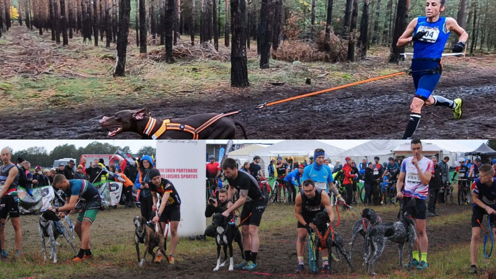 Olga Álvarez y Andoni Isusi explican el canicross para RTVE.es - Deportes de invierno | Ver
