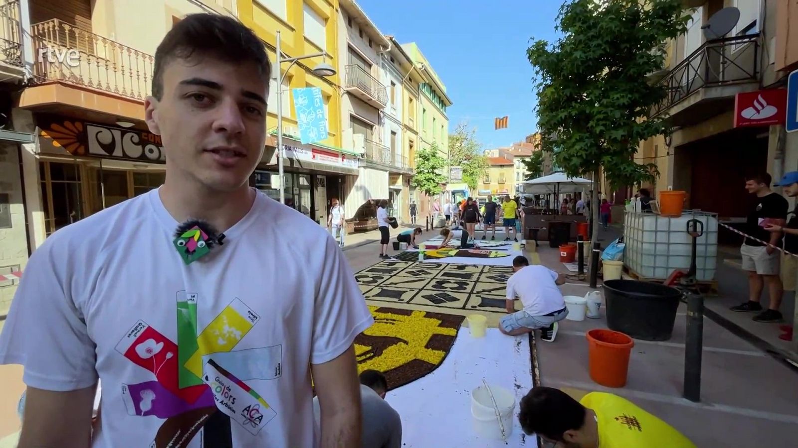 Catifes de flors a les festes d'Arbúcies | Va de Verd